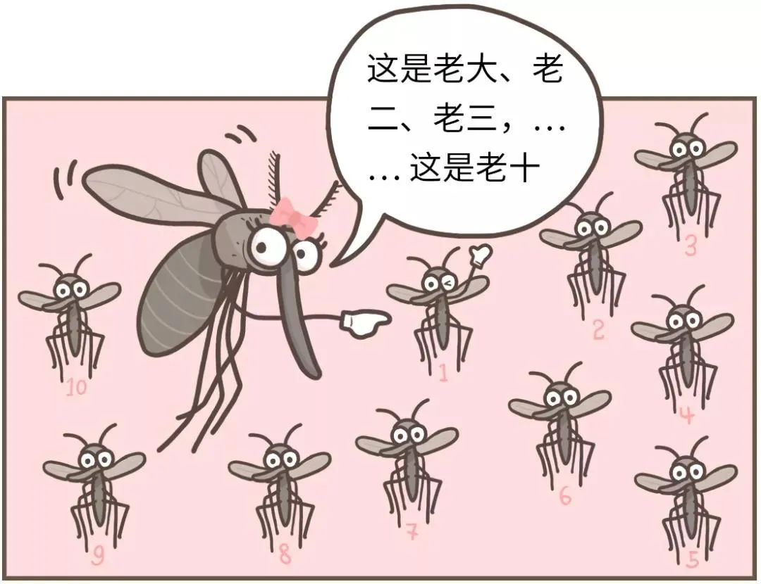 圖片6.png