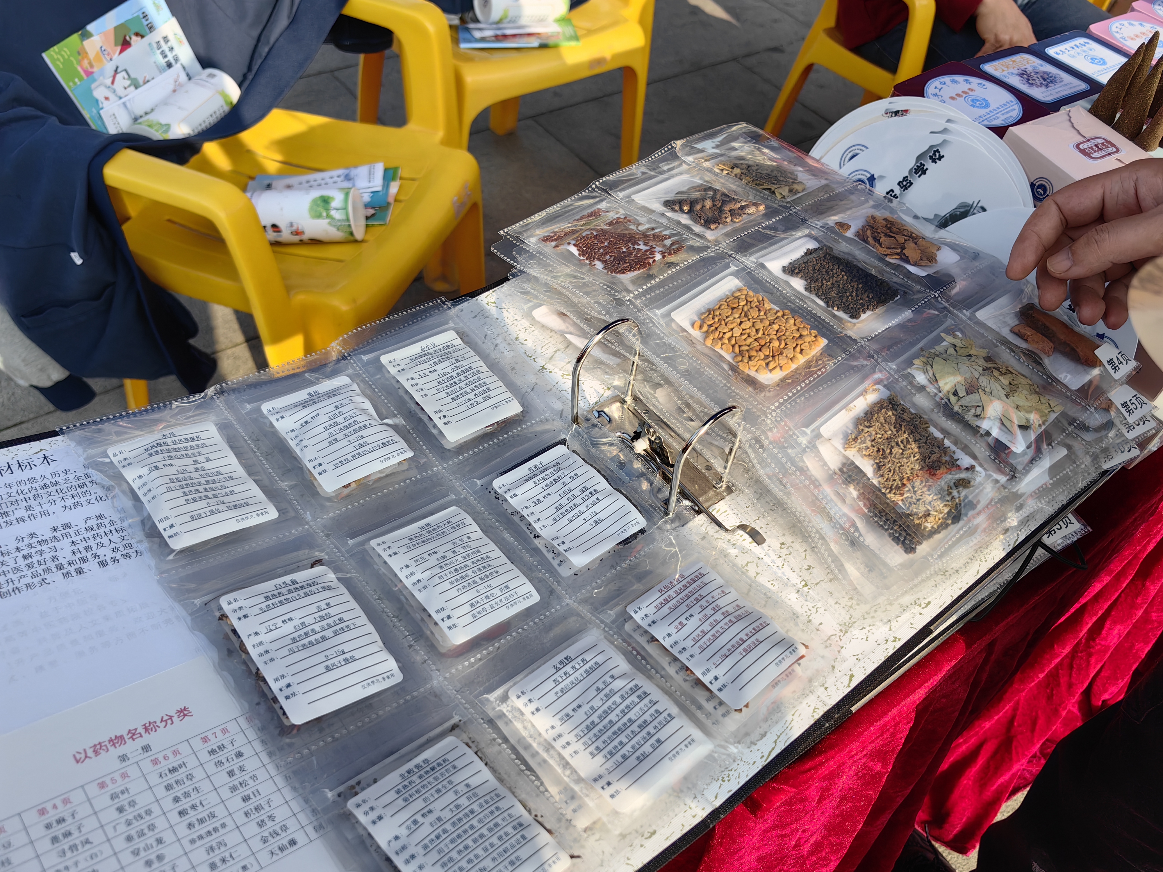 中藥標(biāo)本辨析.jpg