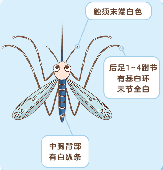 圖片2.png
