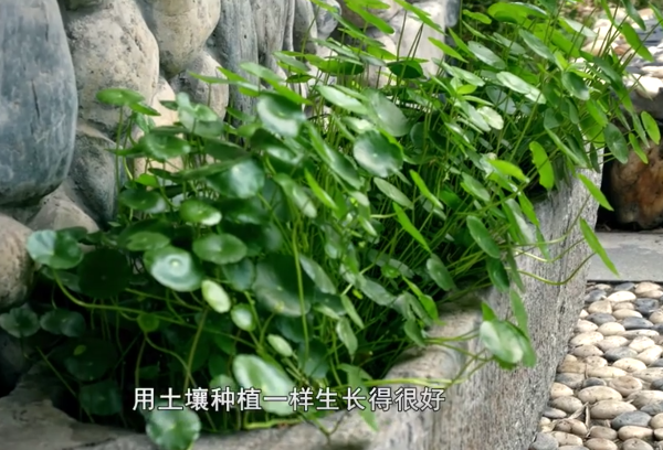 圖片6.png