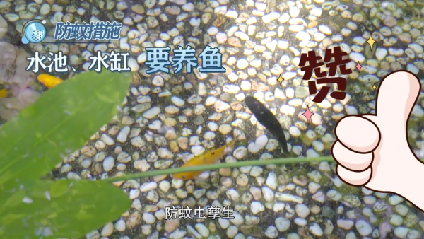 圖片13.png